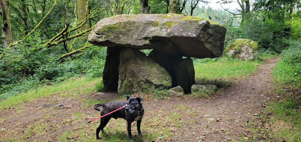 Gwal y Filiast – Carmarthenshire, Wales