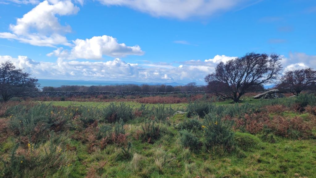 Images: CoralJackz - ThatHistoryCouple