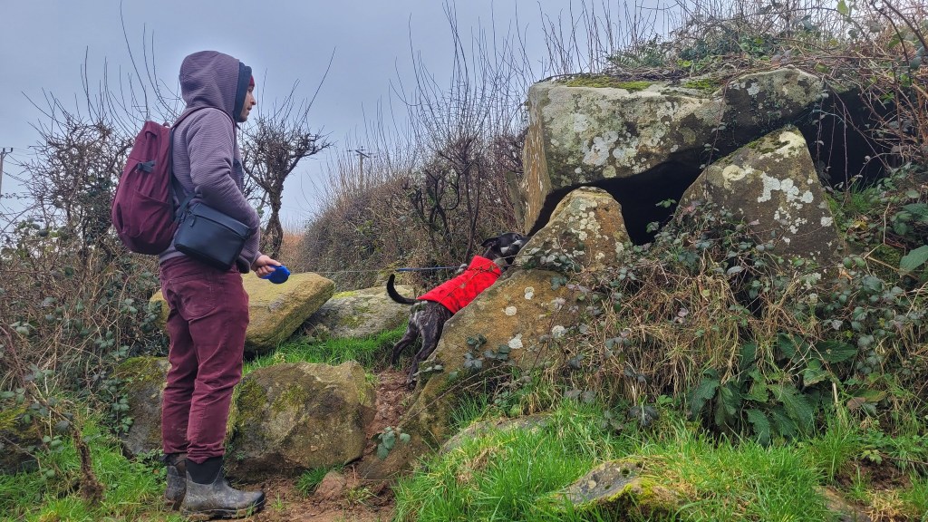 The Alter/Colston Stones – Pembrokeshire,&nbsp;Wales