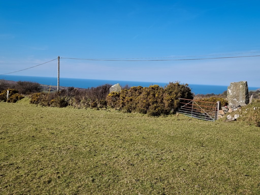 Parc y Meirw Stone&nbsp;Alignment