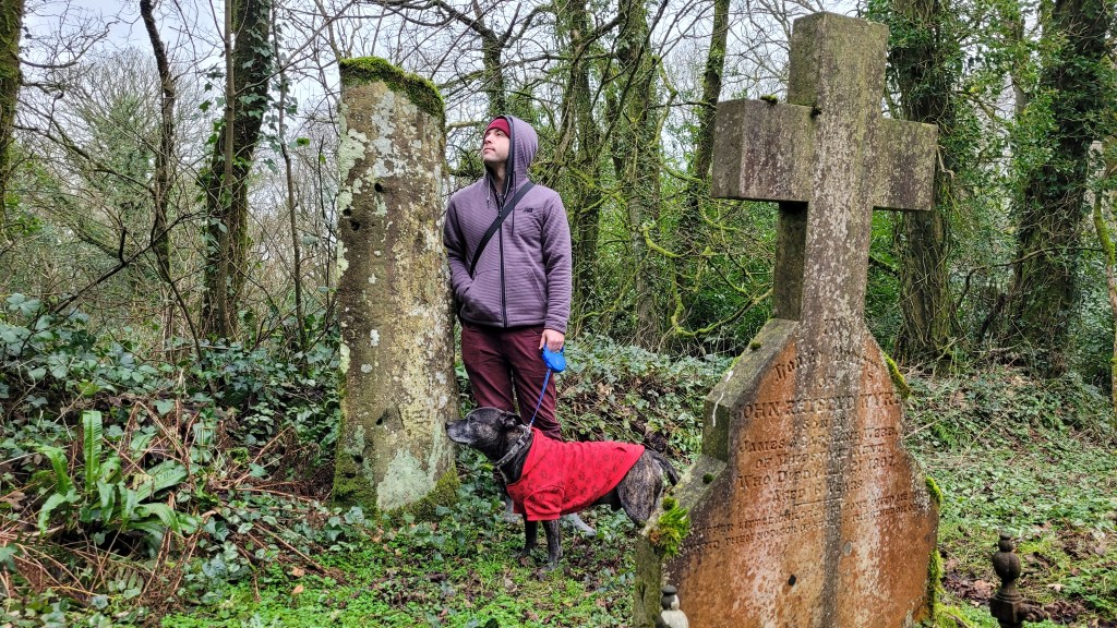 The Hogtivis Stone – St.&nbsp;Dogwells