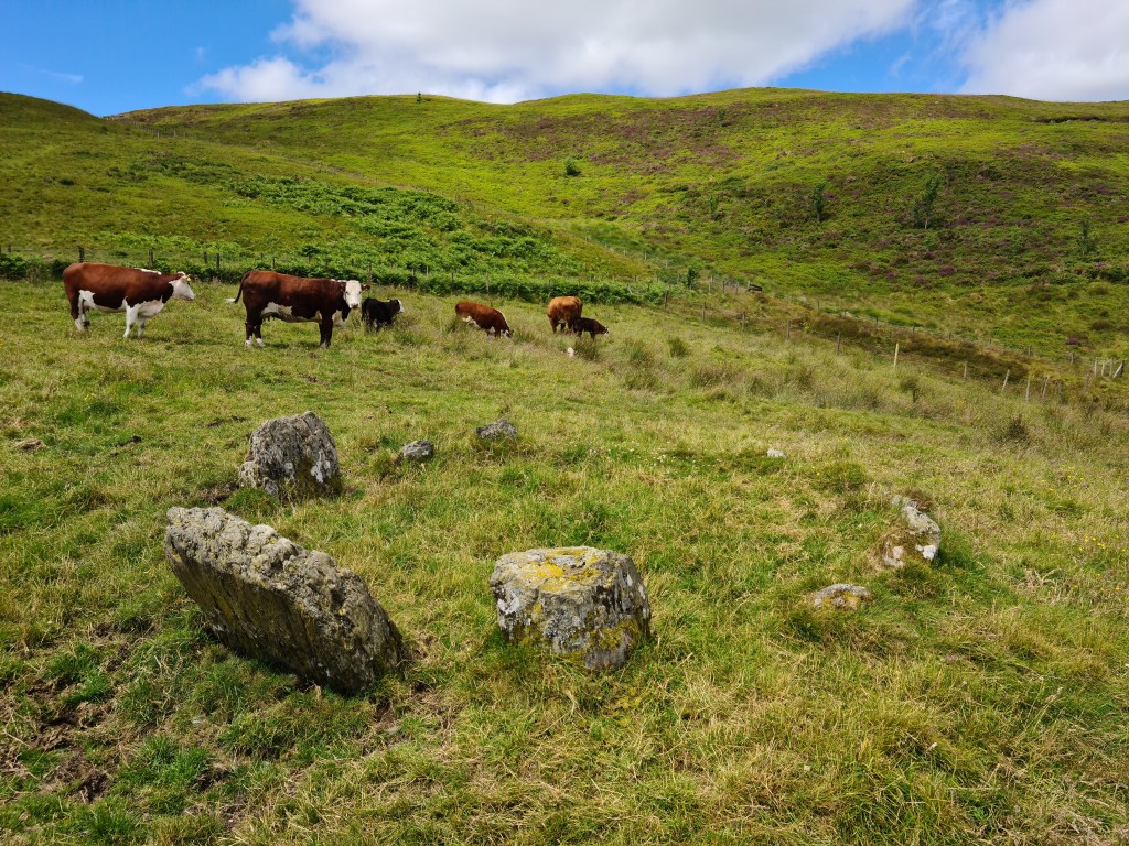 Dol y Gamfa Stone&nbsp;Circle