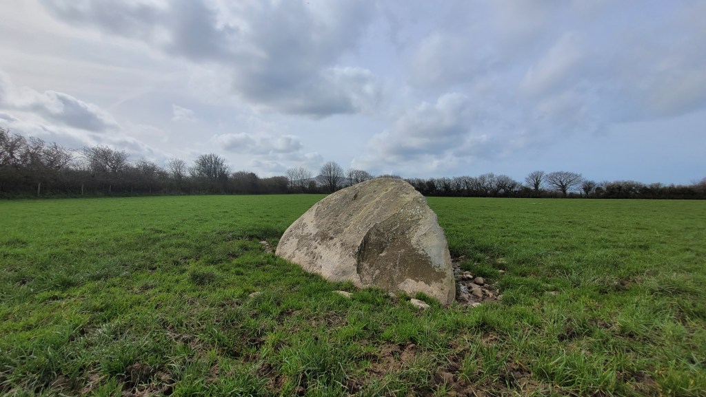 Trefael Cup-marked Stone