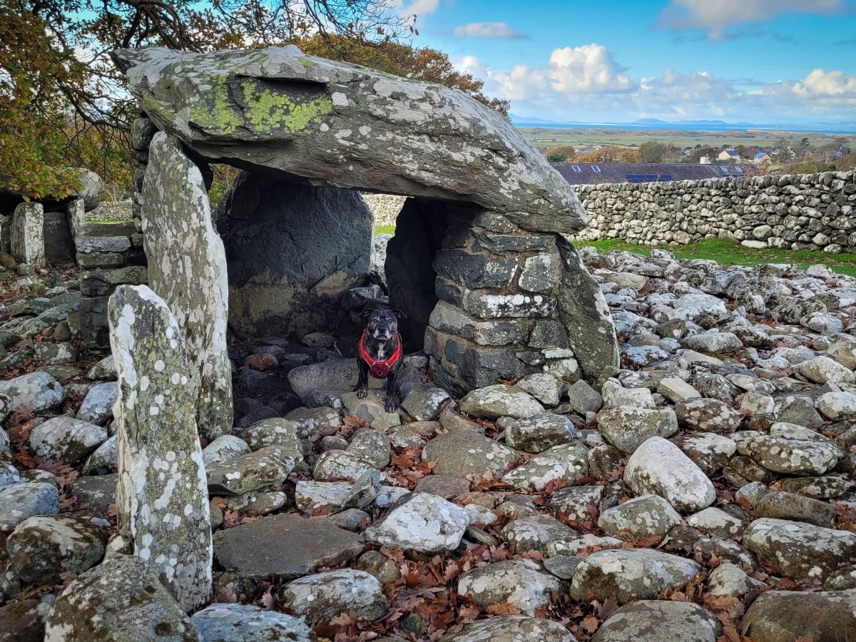 Dyffryn Ardudwy Neolithic&nbsp;Monument