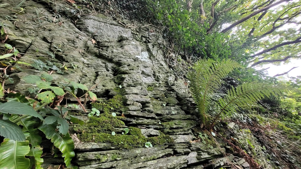 The Pilgrim’s Cross