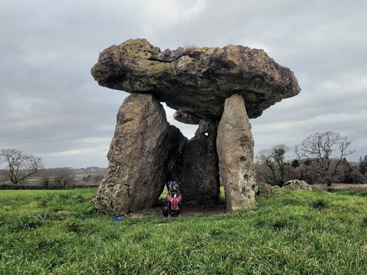 St Lythans Dolmen/Cromlech