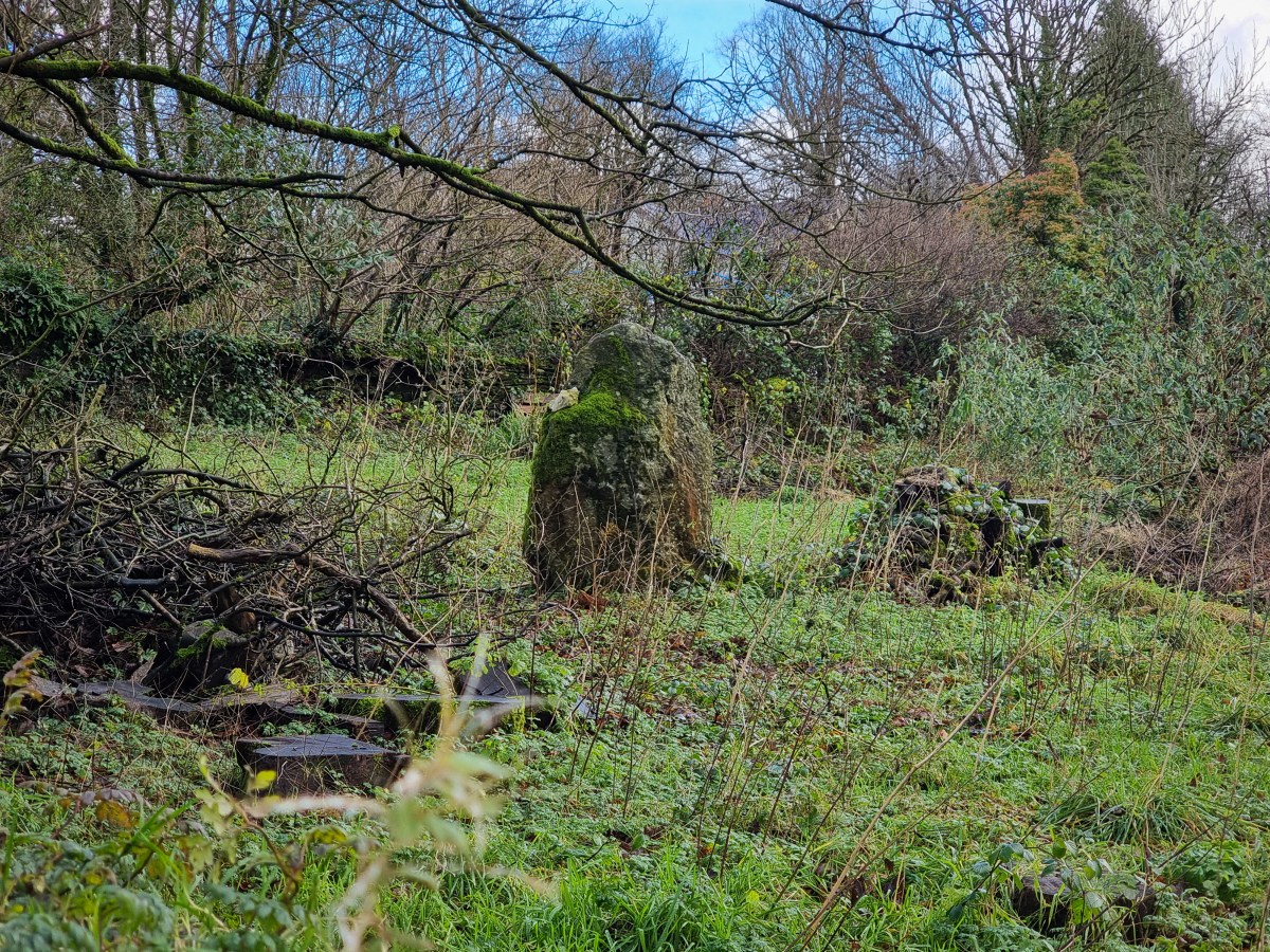 Temple Druid Neolithic/Bronze Age&nbsp;remains